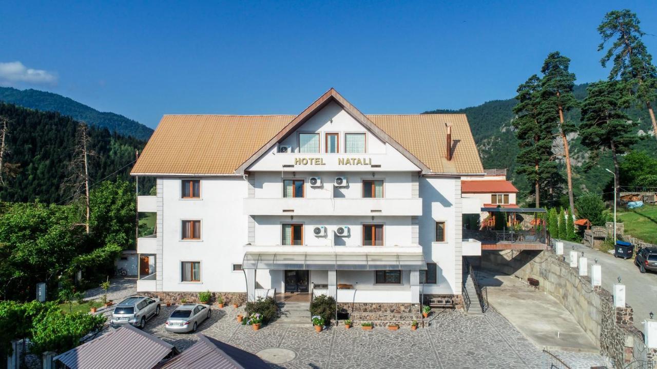 Natali Hotel Borjomi Esterno foto