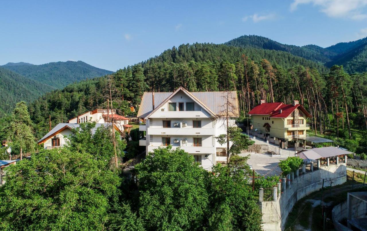 Natali Hotel Borjomi Esterno foto