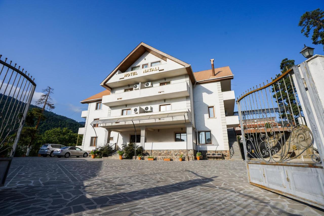 Natali Hotel Borjomi Esterno foto