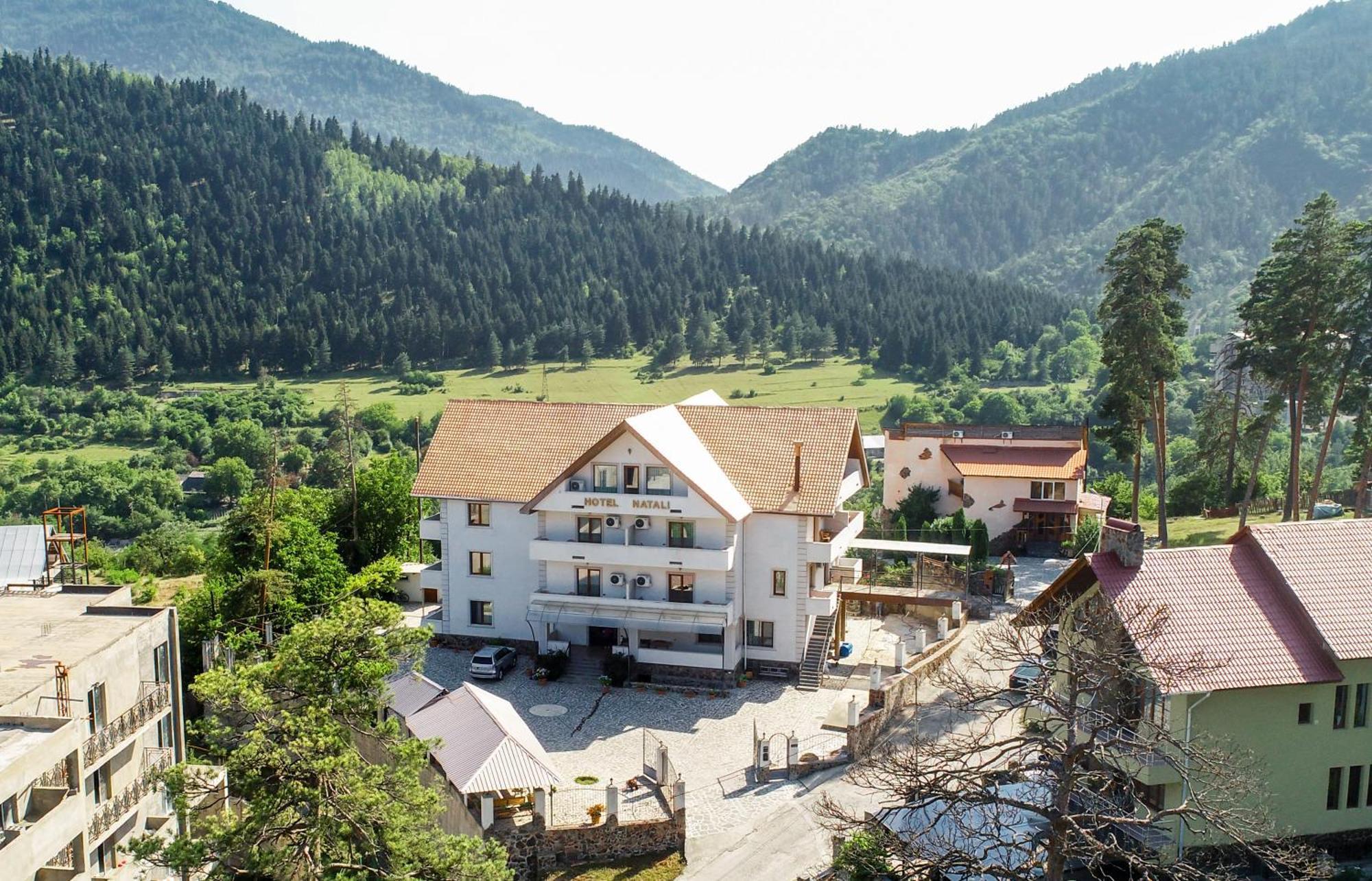 Natali Hotel Borjomi Esterno foto